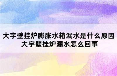 大宇壁挂炉膨胀水箱漏水是什么原因 大宇壁挂炉漏水怎么回事